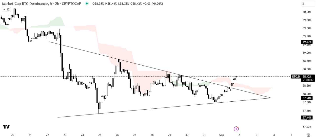 آلت‌کوین ‌ها تو صف ریزشن