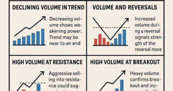 ابزاری که بهت میگه نهنگ‌ها کجان
