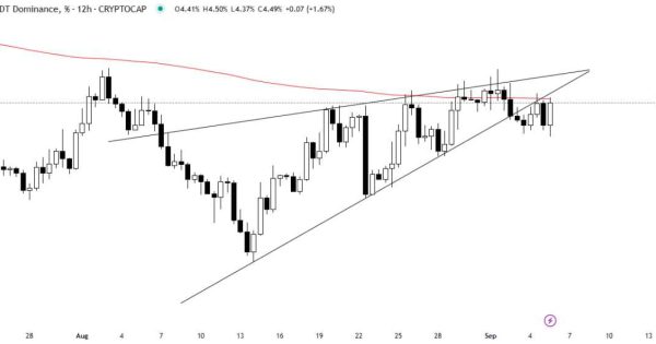 مارکت اماده پرواز مجدد