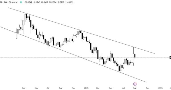 آماده‌ی شوک بزرگ باشین