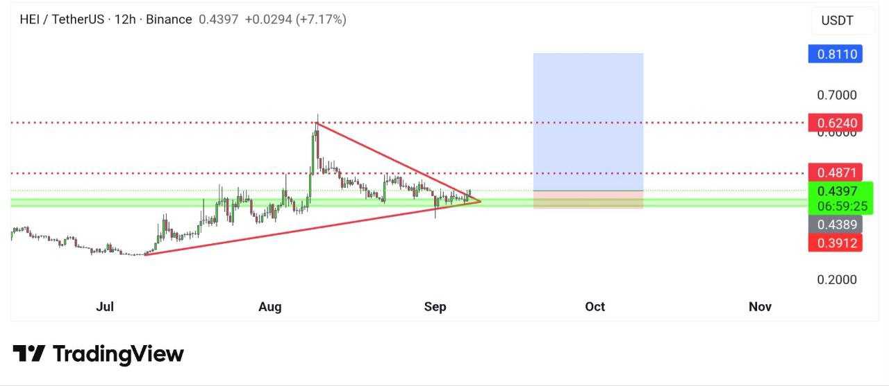 با یه شکست میتونه پرواز کنه
