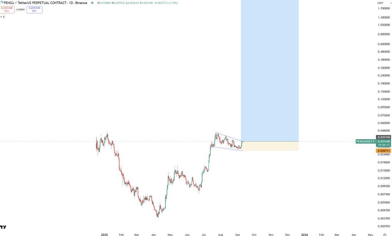 میم کوین پروازی