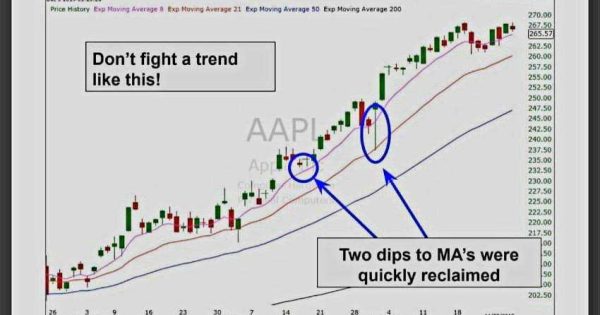 لطفا با روند مبارزه نکنید