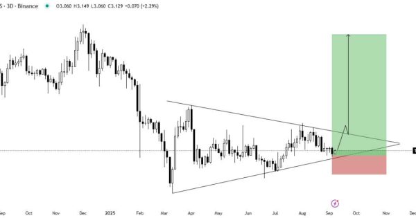 آماده صعود مشتی TON باش!
