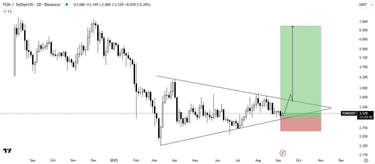 آماده صعود مشتی TON باش!