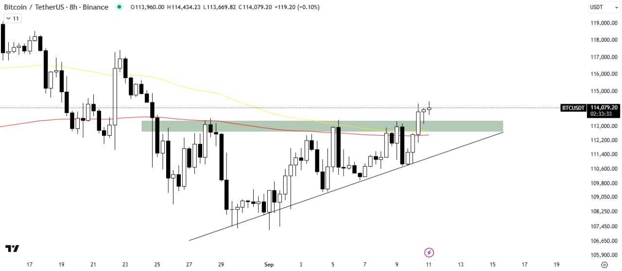 رالی بزرگ بیت شروع شده