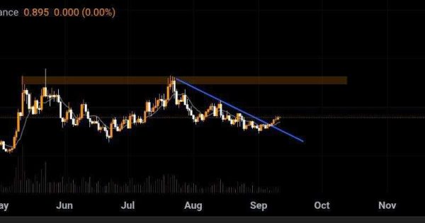 بهترین میم کوین