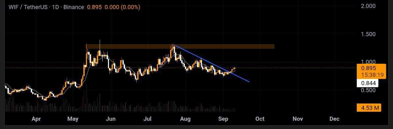 بهترین میم کوین