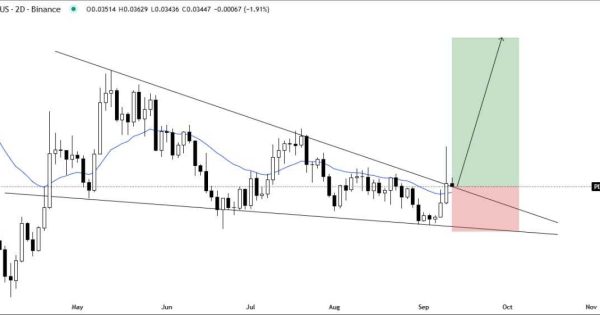 میم کوین پروازی