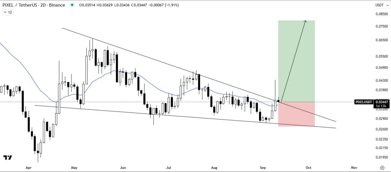میم کوین پروازی