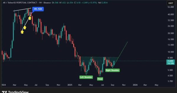 الگو برگشتی اماده پروازه