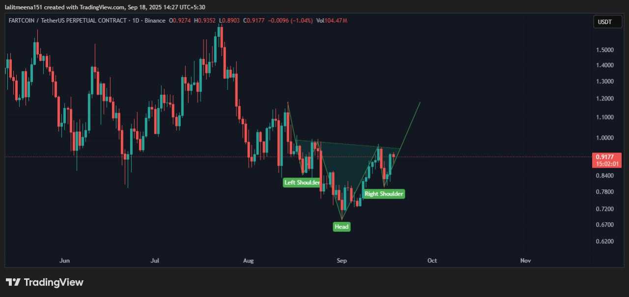 میم کوین آماده پامپ