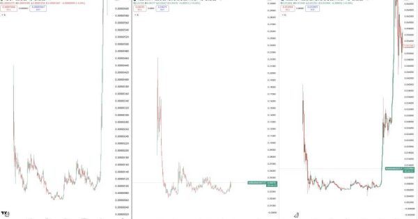 الگو میم کوین پامپی تایید شده