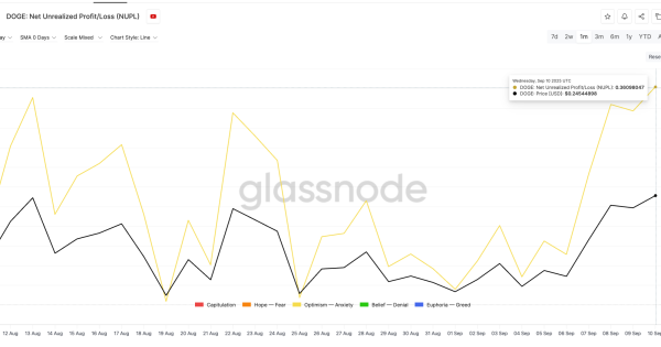 دوج کوین (DOGE) با دید آنچین