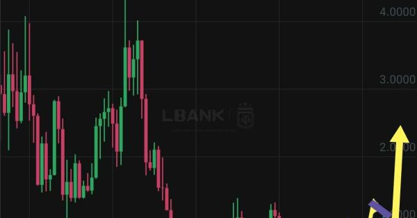 داگ ویف بعد اصلاح پرواز میکنه