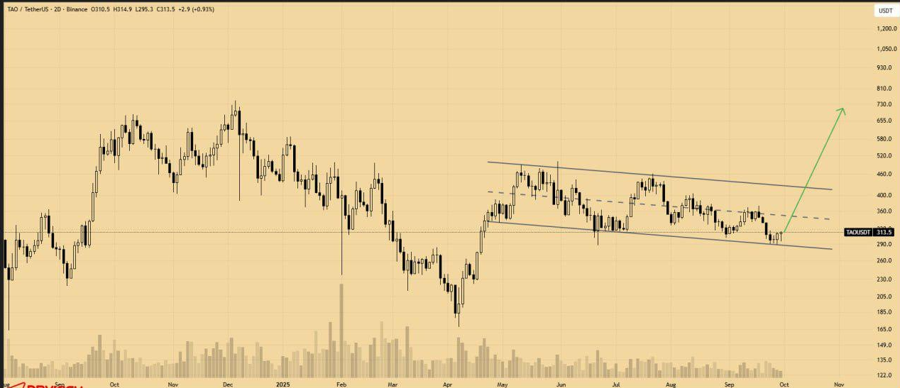 آماده پامپ از کف الگوی صعودی