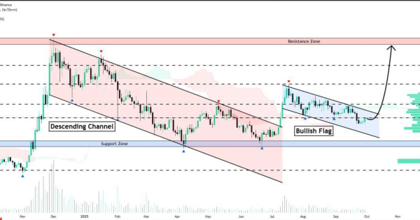 پیشنهاد ویژه برای خرید و سرمایه گذاری در معاملات اسپات