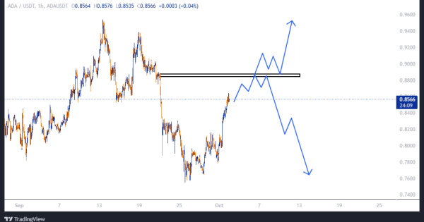 سود خفن در کمین کاردانو (ADA)