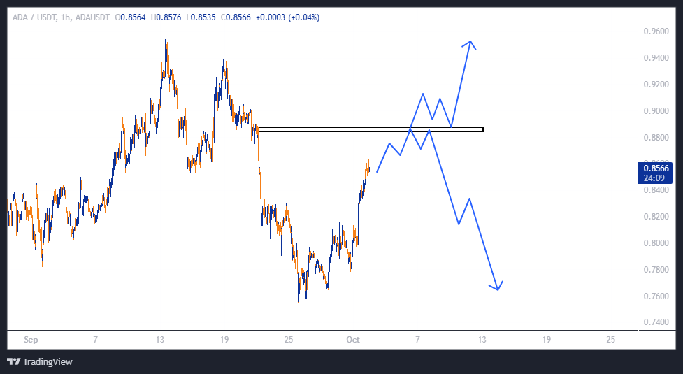 سود خفن در کمین کاردانو (ADA)