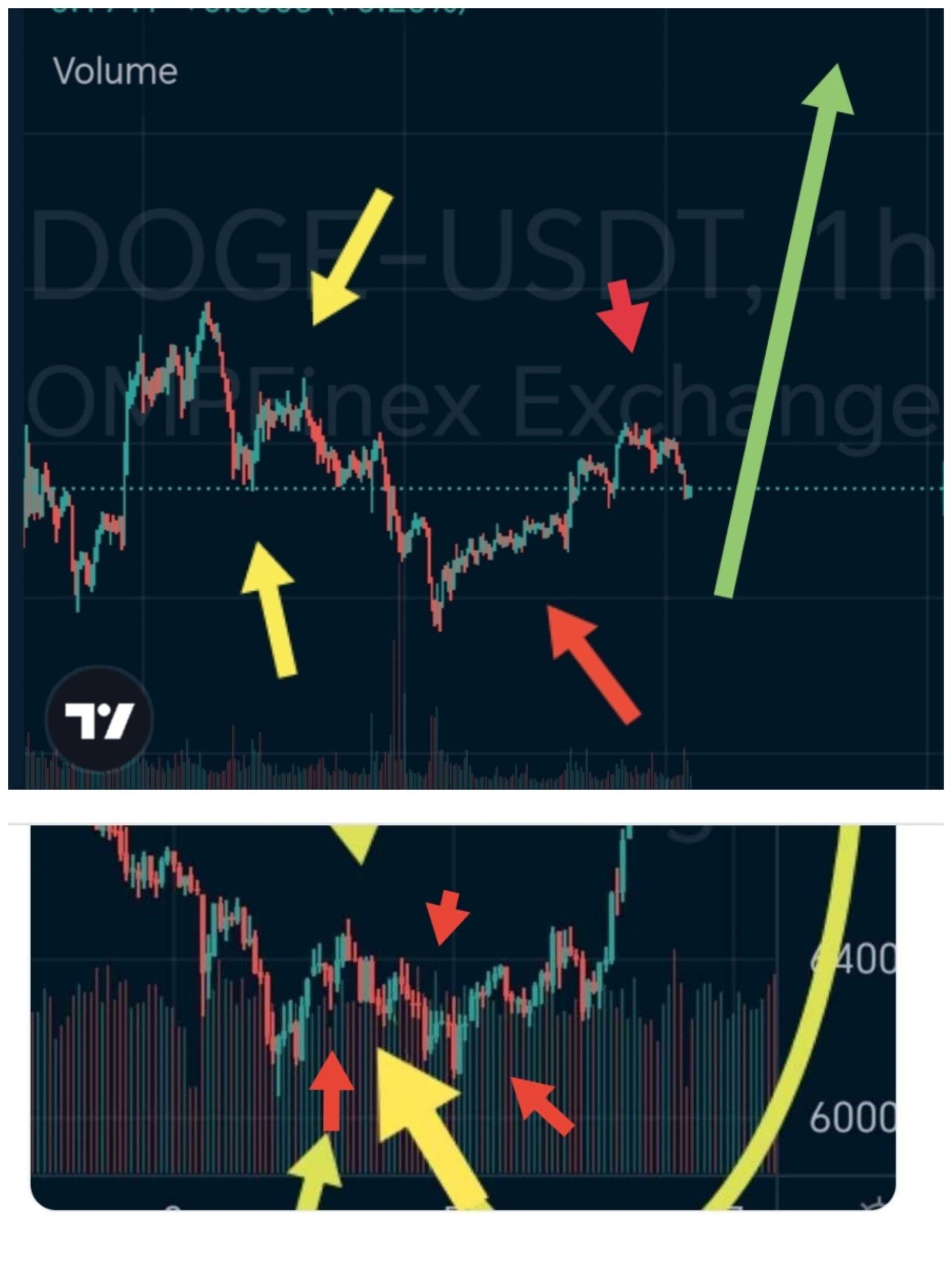 تحلیل بازار برمبنای الگوی شناسی
