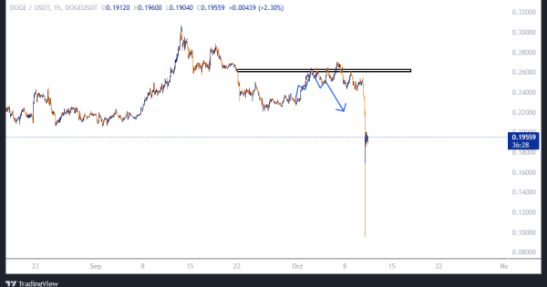 دوج کوین (DOGE)