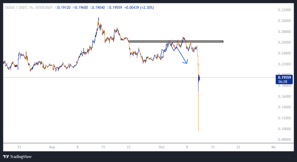 دوج کوین (DOGE)