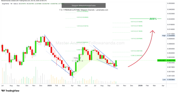 میم کوین پروازی