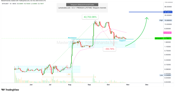 رشد ۴۲ هزار درصدی در ۸۴ روز