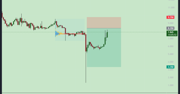 میم کوین پر حاشیه اما پر سود