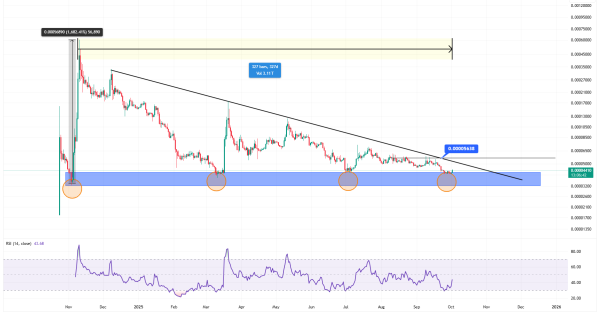 ایکس امپایر (X)