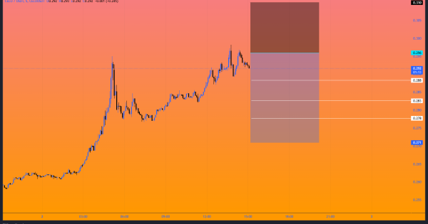 شورت جذاب CELO نزدیک مقاومت