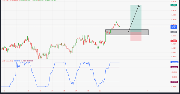 رشد ۲۱۰ درصدی با سیگنال رایگان