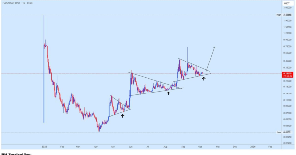 این میم کوین آماده میشه برای انفجار