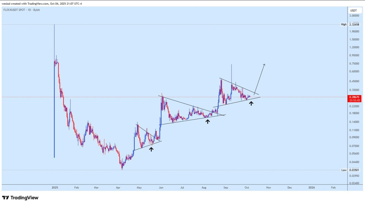 این میم کوین آماده میشه برای انفجار
