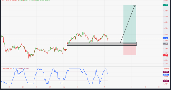 سود ۵۰۰ درصدی