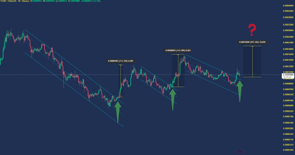 میم کوین صعودی