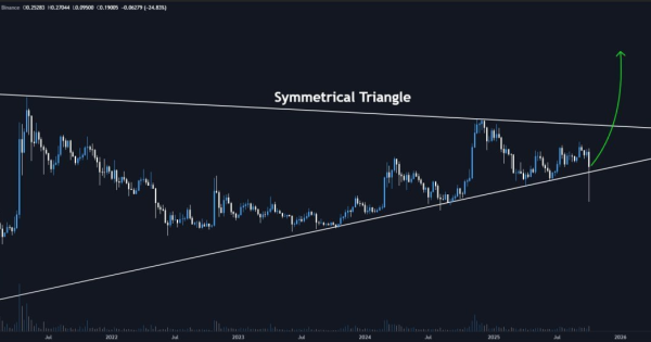 دوج کوین (DOGE)