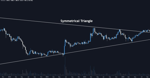 با سقوط قیمت ها همچنان صعودیه