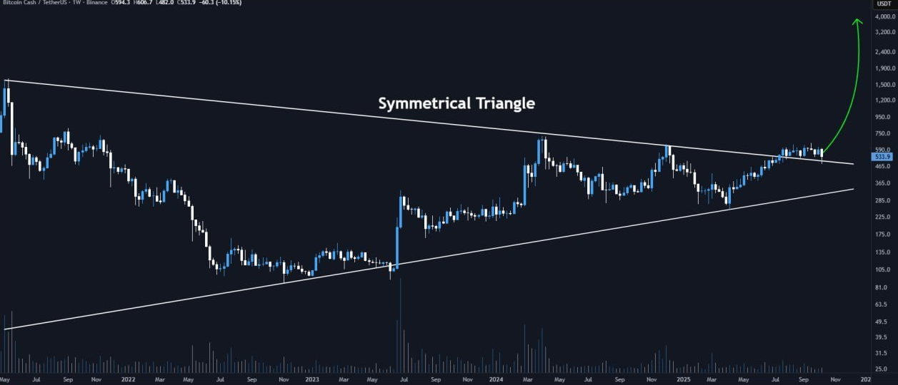 با سقوط قیمت ها همچنان صعودیه