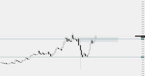 رشد ۳۰۰ درصدی و آماده باش برای ورود