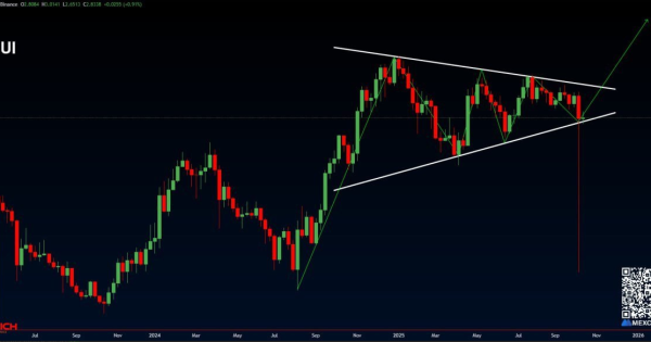 سویی (SUI) 7 دلاری