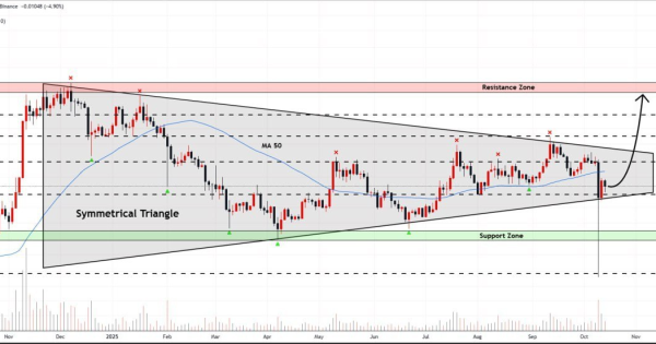 دوج کوین (DOGE)