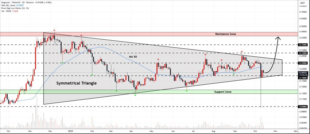دوج کوین (DOGE)
