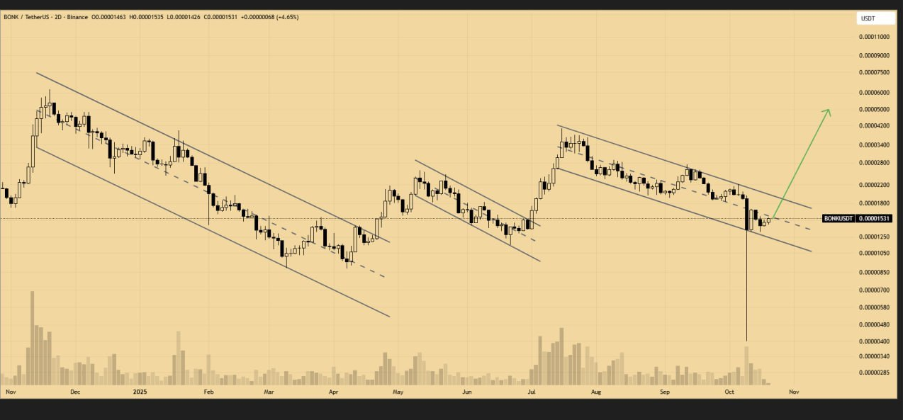 میم کوین صعودی