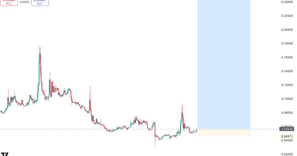 گوهرهای پنهان ۲۰۲۵ ، گزینه سرمایه گذاری
