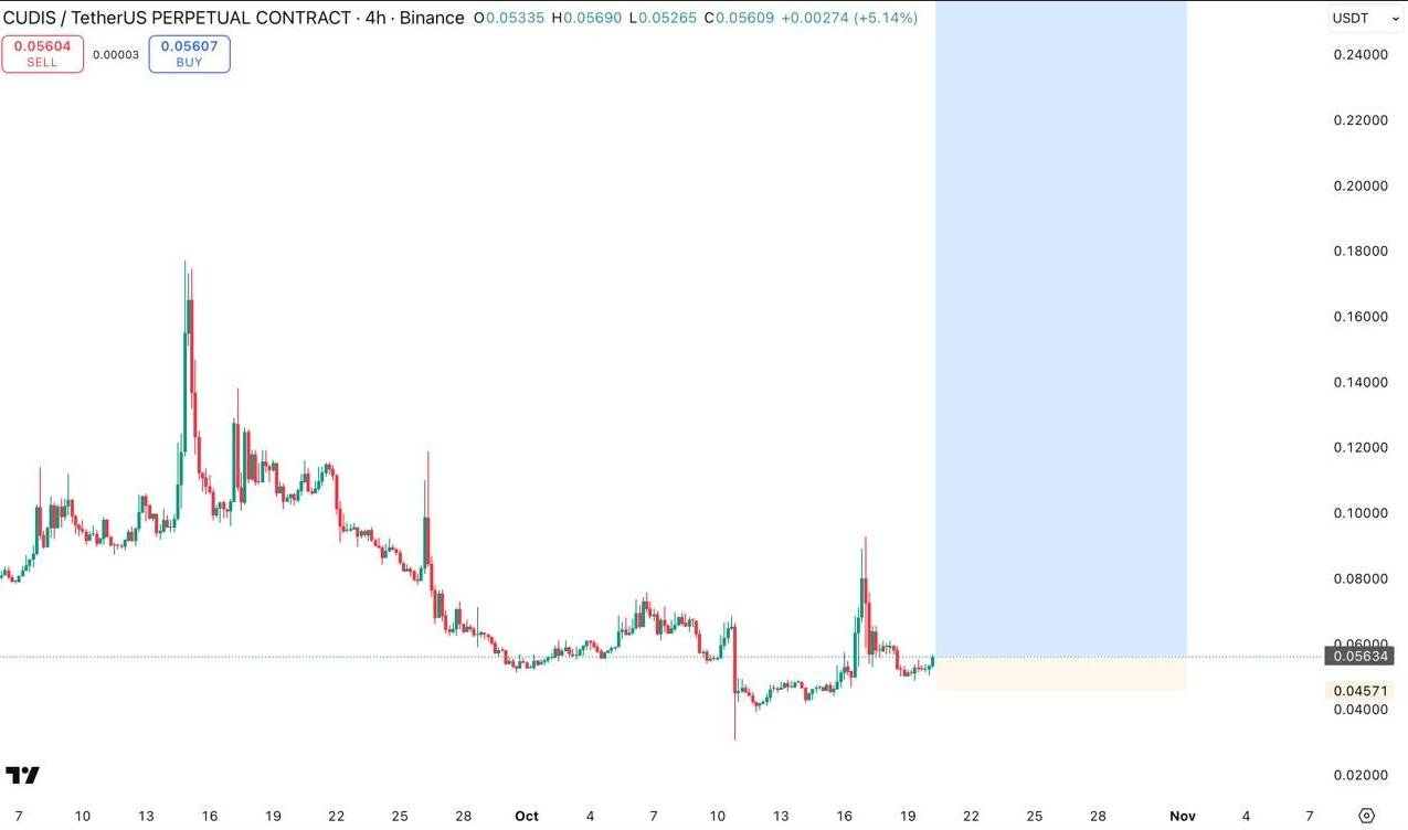 گوهرهای پنهان ۲۰۲۵ ، گزینه سرمایه گذاری