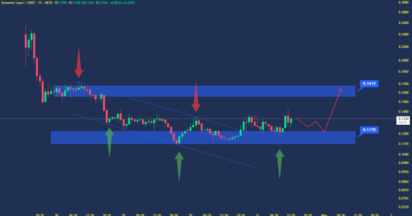 با این توکن پرنوسان یا حسابی سود میکنی یا میبازی!
