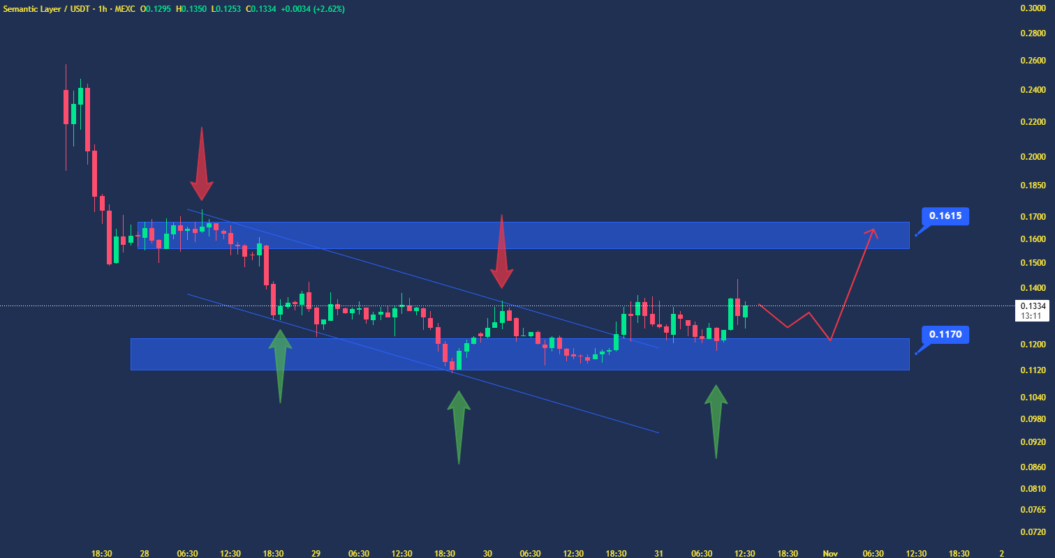 با این توکن پرنوسان یا حسابی سود میکنی یا میبازی!
