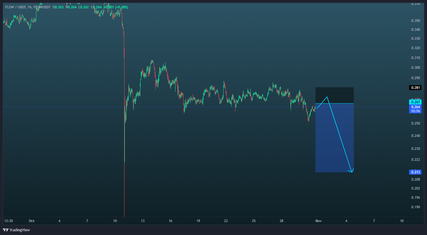 این آلت‌کوین، سقوط سنگینی در انتظارشه