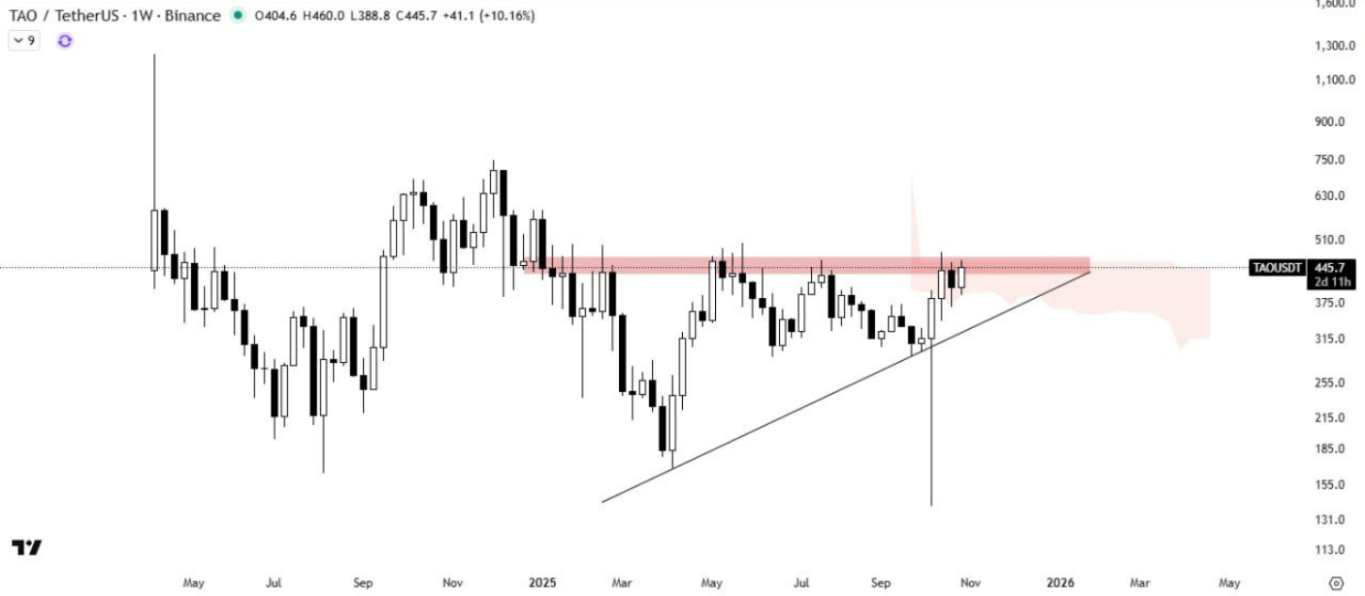 پرواز تا سقف جدید